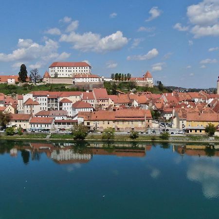 Guesthouse Pri Tonetu Ptuj Buitenkant foto